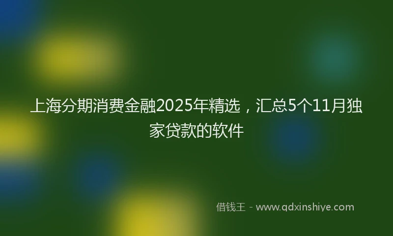 上海分期消费金融2025年精选，汇总5个11月独家贷款的软件