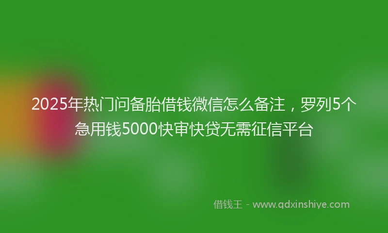 2025年热门问备胎借钱微信怎么备注，罗列5个急用钱5000快审快贷无需征信平台