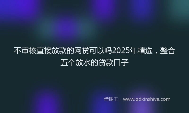不审核直接放款的网贷可以吗2025年精选，整合五个放水的贷款口子