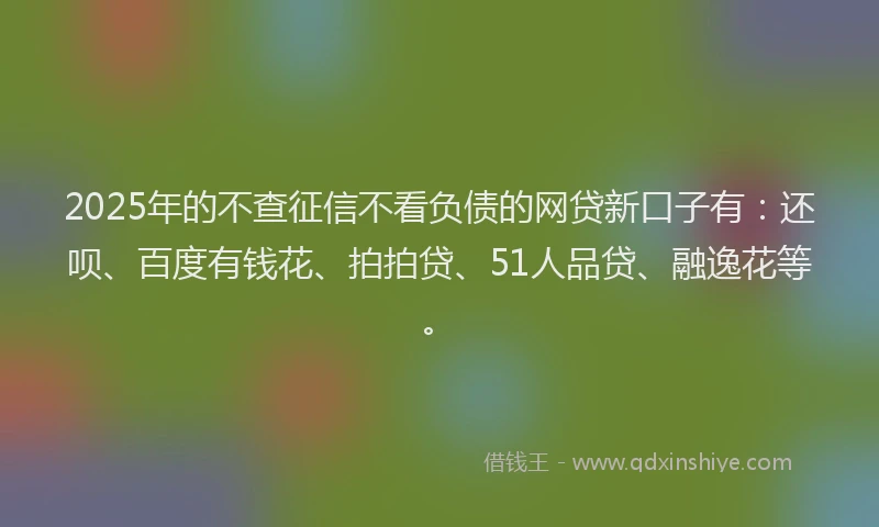 2025年的不查征信不看负债的网贷新口子有：还呗、百度有钱花、拍拍贷、51人品贷、融逸花等。