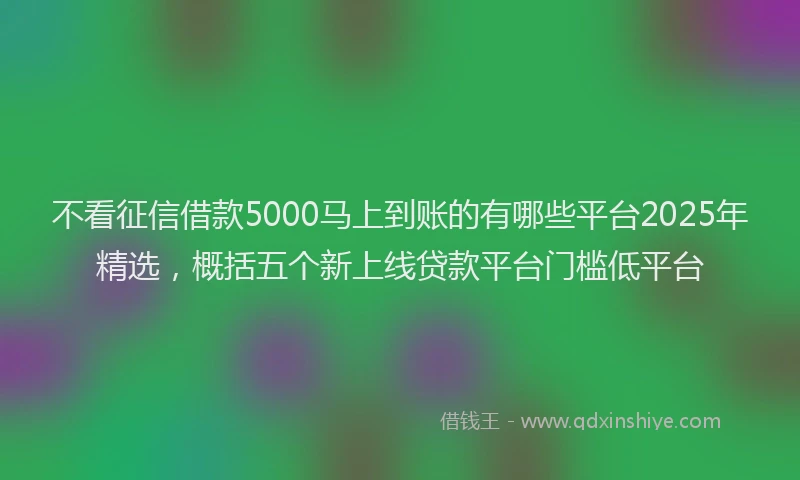 不看征信借款5000马上到账的有哪些平台2025年精选，概括五个新上线贷款平台门槛低平台