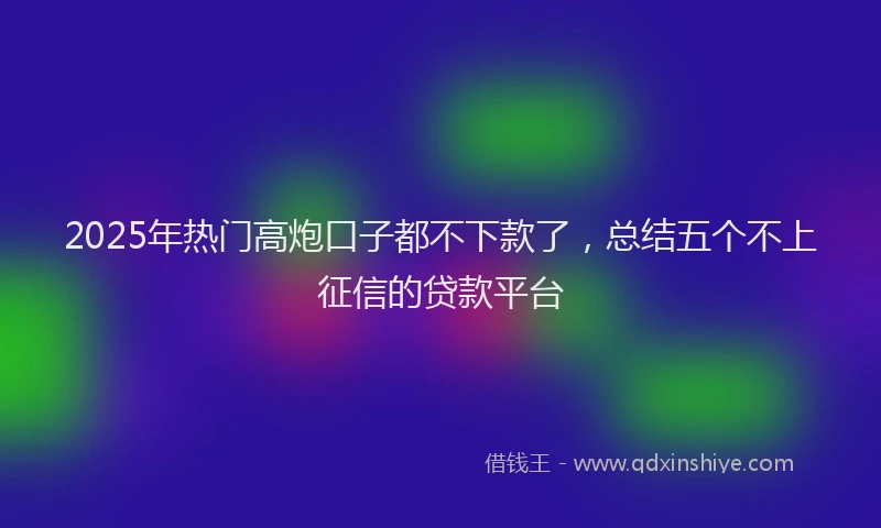 2025年热门高炮口子都不下款了，总结五个不上征信的贷款平台