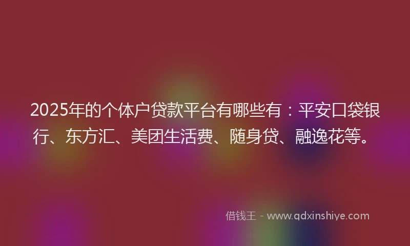 2025年的个体户贷款平台有哪些有：平安口袋银行、东方汇、美团生活费、随身贷、融逸花等。