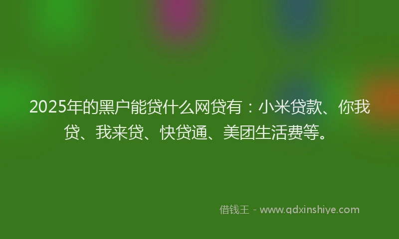 2025年的黑户能贷什么网贷有：小米贷款、你我贷、我来贷、快贷通、美团生活费等。