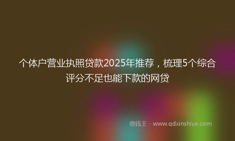 个体户营业执照贷款2025年推荐，梳理5个综合评分不足也能下款的网贷