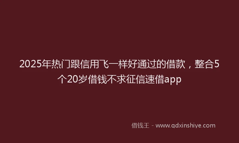 2025年热门跟信用飞一样好通过的借款，整合5个20岁借钱不求征信速借app