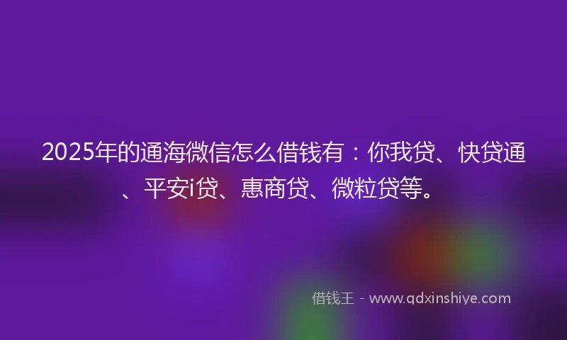 2025年的通海微信怎么借钱有：你我贷、快贷通、平安i贷、惠商贷、微粒贷等。