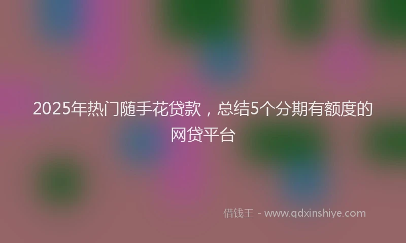 2025年热门随手花贷款，总结5个分期有额度的网贷平台