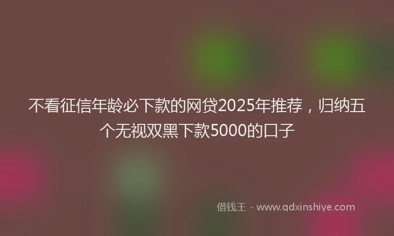 不看征信年龄必下款的网贷2025年推荐，归纳五个无视双黑下款5000的口子