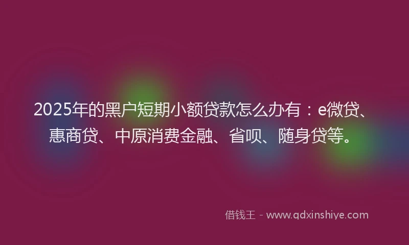 2025年的黑户短期小额贷款怎么办有：e微贷、惠商贷、中原消费金融、省呗、随身贷等。