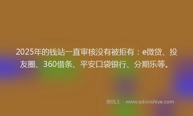 2025年的钱站一直审核没有被拒有：e微贷、投友圈、360借条、平安口袋银行、分期乐等。