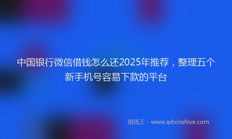 中国银行微信借钱怎么还2025年推荐，整理五个新手机号容易下款的平台