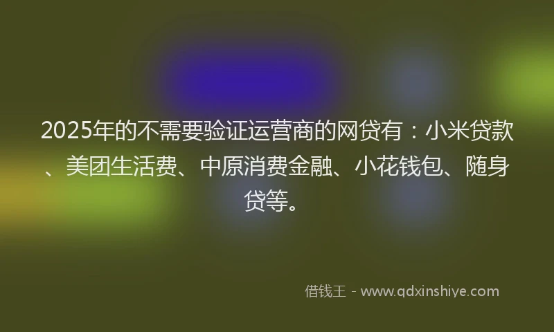 2025年的不需要验证运营商的网贷有：小米贷款、美团生活费、中原消费金融、小花钱包、随身贷等。