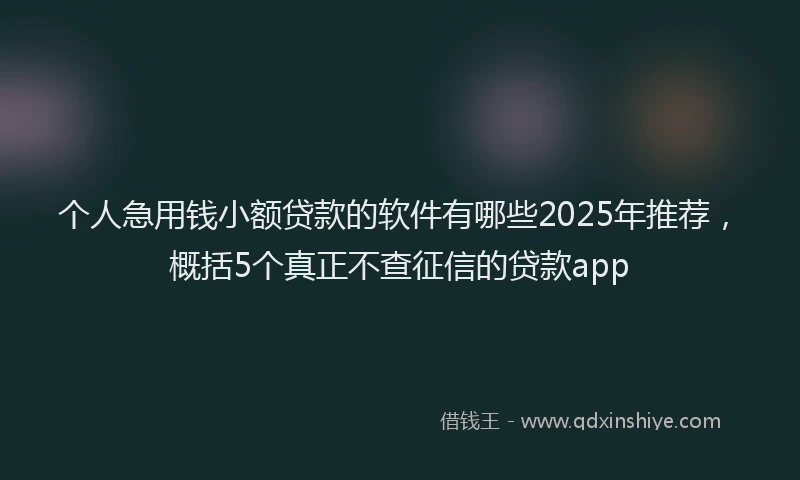 个人急用钱小额贷款的软件有哪些2025年推荐，概括5个真正不查征信的贷款app