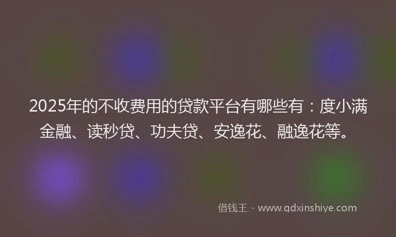 2025年的不收费用的贷款平台有哪些有：度小满金融、读秒贷、功夫贷、安逸花、融逸花等。