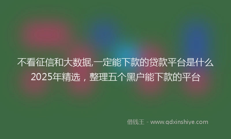 不看征信和大数据,一定能下款的贷款平台是什么2025年精选，整理五个黑户能下款的平台