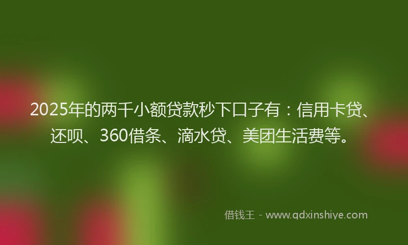 2025年的两千小额贷款秒下口子有：信用卡贷、还呗、360借条、滴水贷、美团生活费等。