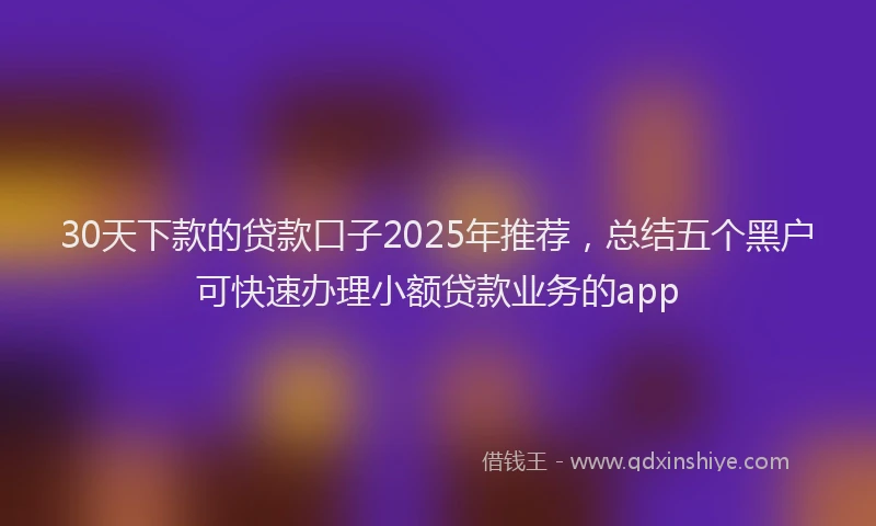 30天下款的贷款口子2025年推荐，总结五个黑户可快速办理小额贷款业务的app