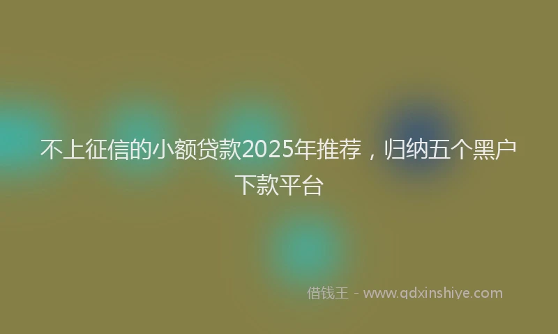 不上征信的小额贷款2025年推荐，归纳五个黑户下款平台
