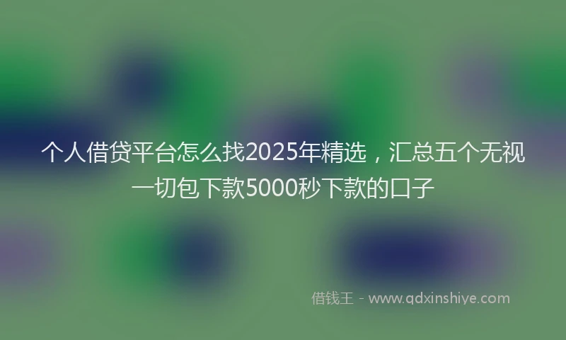 个人借贷平台怎么找2025年精选，汇总五个无视一切包下款5000秒下款的口子