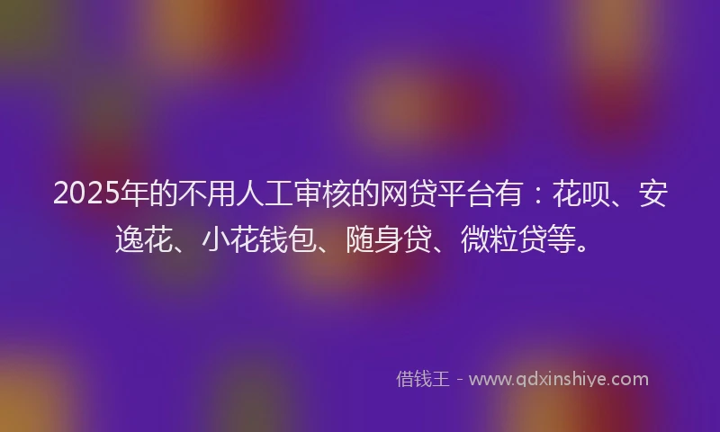 2025年的不用人工审核的网贷平台有：花呗、安逸花、小花钱包、随身贷、微粒贷等。