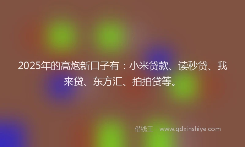 2025年的高炮新口子有：小米贷款、读秒贷、我来贷、东方汇、拍拍贷等。