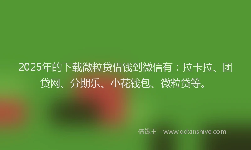 2025年的下载微粒贷借钱到微信有：拉卡拉、团贷网、分期乐、小花钱包、微粒贷等。
