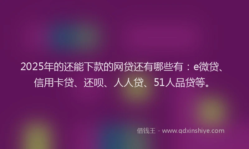 2025年的还能下款的网贷还有哪些有：e微贷、信用卡贷、还呗、人人贷、51人品贷等。