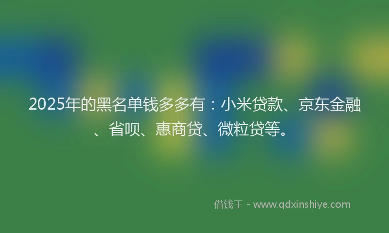 2025年的黑名单钱多多有：小米贷款、京东金融、省呗、惠商贷、微粒贷等。