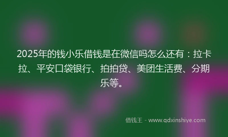 2025年的钱小乐借钱是在微信吗怎么还有：拉卡拉、平安口袋银行、拍拍贷、美团生活费、分期乐等。