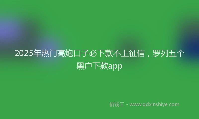 2025年热门高炮口子必下款不上征信，罗列五个黑户下款app