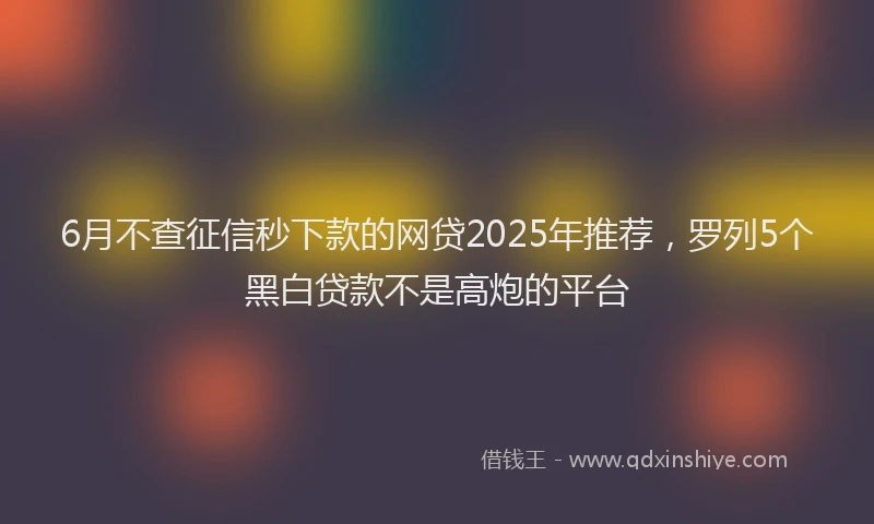 6月不查征信秒下款的网贷2025年推荐，罗列5个黑白贷款不是高炮的平台