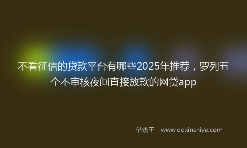 不看征信的贷款平台有哪些2025年推荐，罗列五个不审核夜间直接放款的网贷app