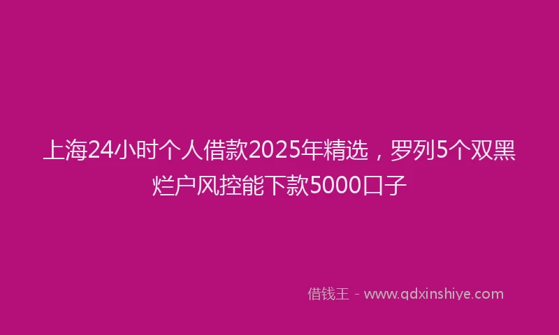 上海24小时个人借款2025年精选，罗列5个双黑烂户风控能下款5000口子