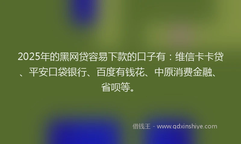2025年的黑网贷容易下款的口子有：维信卡卡贷、平安口袋银行、百度有钱花、中原消费金融、省呗等。
