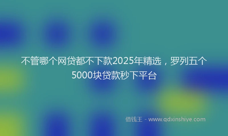 不管哪个网贷都不下款2025年精选，罗列五个5000块贷款秒下平台