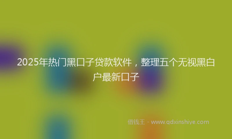 2025年热门黑口子贷款软件，整理五个无视黑白户最新口子