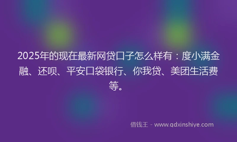 2025年的现在最新网贷口子怎么样有：度小满金融、还呗、平安口袋银行、你我贷、美团生活费等。