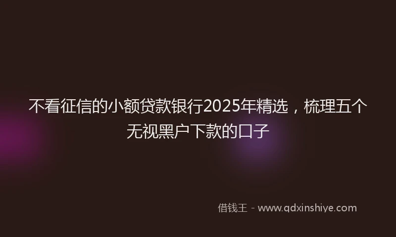 不看征信的小额贷款银行2025年精选，梳理五个无视黑户下款的口子