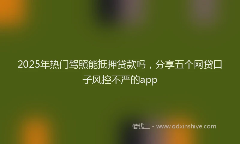 2025年热门驾照能抵押贷款吗，分享五个网贷口子风控不严的app