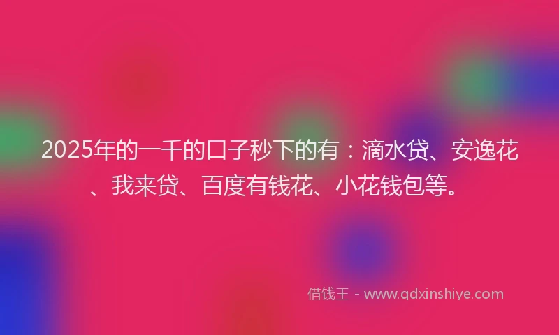 2025年的一千的口子秒下的有：滴水贷、安逸花、我来贷、百度有钱花、小花钱包等。