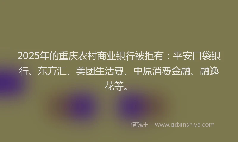 2025年的重庆农村商业银行被拒有：平安口袋银行、东方汇、美团生活费、中原消费金融、融逸花等。