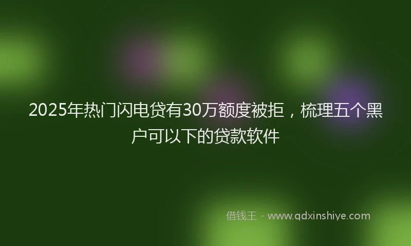 2025年热门闪电贷有30万额度被拒，梳理五个黑户可以下的贷款软件