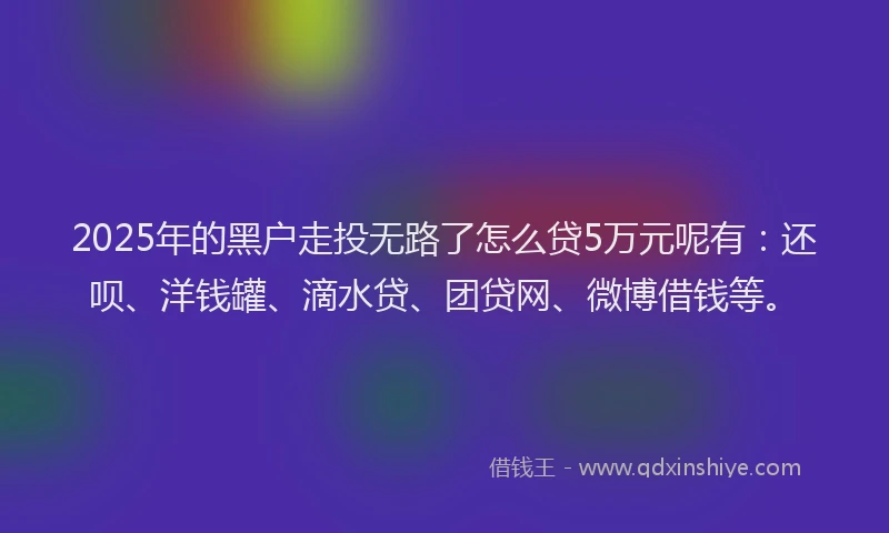 2025年的黑户走投无路了怎么贷5万元呢有：还呗、洋钱罐、滴水贷、团贷网、微博借钱等。