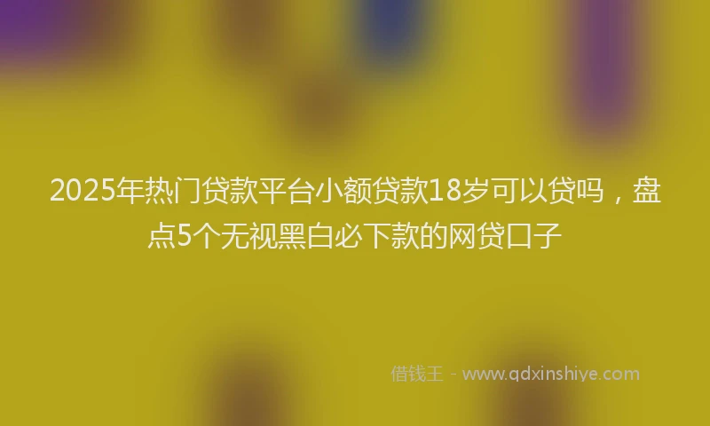 2025年热门贷款平台小额贷款18岁可以贷吗，盘点5个无视黑白必下款的网贷口子