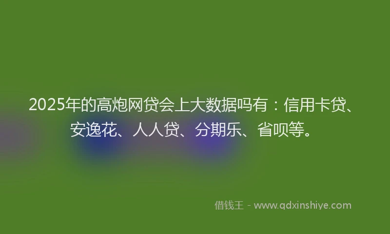 2025年的高炮网贷会上大数据吗有：信用卡贷、安逸花、人人贷、分期乐、省呗等。
