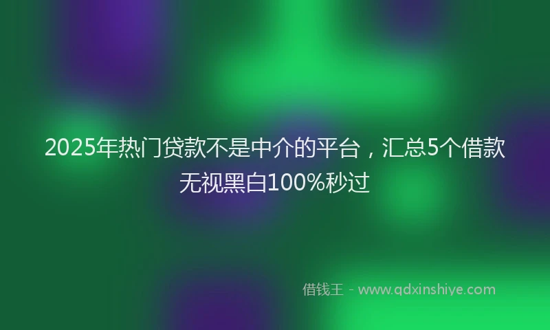 2025年热门贷款不是中介的平台，汇总5个借款无视黑白100%秒过
