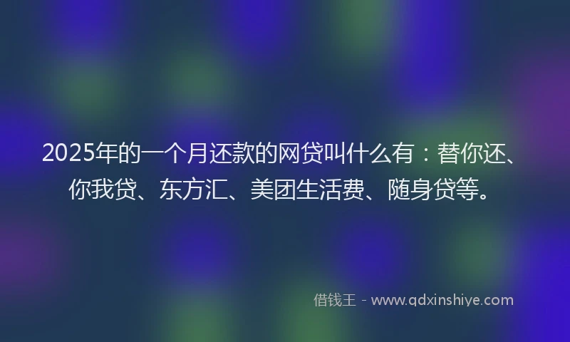 2025年的一个月还款的网贷叫什么有：替你还、你我贷、东方汇、美团生活费、随身贷等。