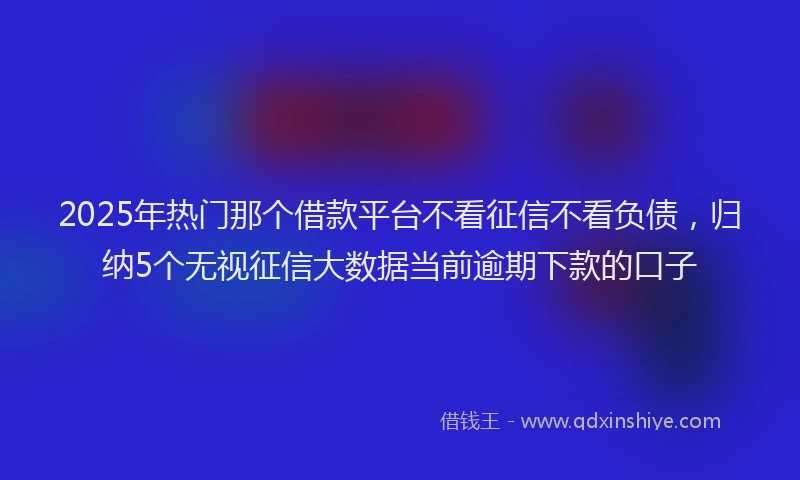 2025年热门那个借款平台不看征信不看负债，归纳5个无视征信大数据当前逾期下款的口子