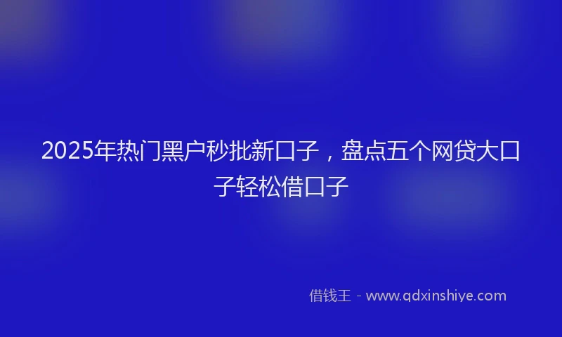 2025年热门黑户秒批新口子，盘点五个网贷大口子轻松借口子